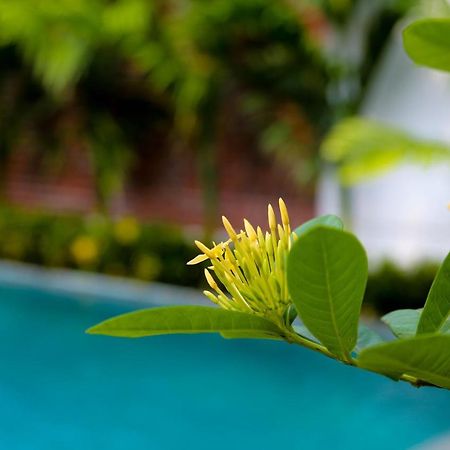 Apartamento Tam Coc International Friends Ninh Binh Exterior foto